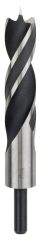 Bosch - Ahşap Matkap Ucu 30*220 mm