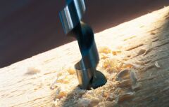 Bosch - Ahşap için Yılan Matkap Ucu 6*235 mm