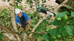 Bosch UniversalChainPole 18 Akülü Teleskopik Ağaç Budama Makinesi