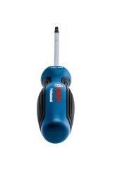 Bosch Profesyonel T20 x 100 mm Deliksiz Torx Tornavida (1600A01V0C)
