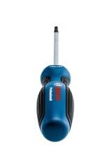 Bosch Profesyonel T20 x 100 mm Deliksiz Torx Tornavida (1600A01V0C)