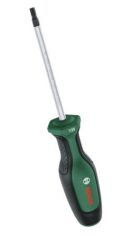 BOSCH TORNAVİDA TORX TX 25 X 100 MM