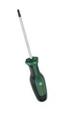 BOSCH TORNAVİDA TORX TX 20 X 100 MM