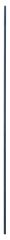 Bosch - Ekstra Uzun Kılavuz Çubuk 8*800 mm