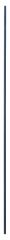 Bosch - Ekstra Uzun Kılavuz Çubuk 10*800 mm